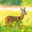 Lover of Harmony cover