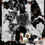 South cover