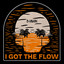 I Got the Flow cover