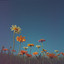 Under the clear sky cover
