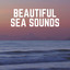 Beautiful Sea Sounds cover