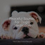 Peaceful Sounds For Dogs| Meditation cover