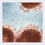 Virus A