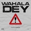 NNVMDI - Wahala Dey