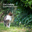 Cat's Lullaby: Gentle Melodies of Nature cover