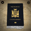 The Patriot cover