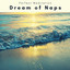 A Dream of Naps cover
