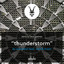 Thunderstorm - Dave Seaman Remix