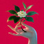 Jovanotti, Samurai Jay - Le Foglie Di Te
