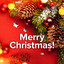 Merry Christmas: Essential Holiday Songs cover