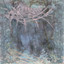 nazire - leech