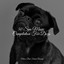 50 Spa Music Compilation For Dogs cover