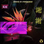 Birds In Paradise - Extended Mix