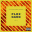 Flex Gang, Vol. 1 cover