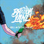 Roll with the Punches (Deluxe) cover