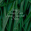 Spring 25 Tranquil Rain Sounds Tracks from Nature cover