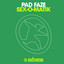 Pad Faze — Sex-O-Matik (Faze Two Mix) cover art