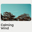 Calming Wind cover
