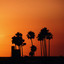 Midnight Hour - Summer Nights