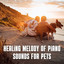 Healing Melody of Piano Sounds for Pets cover
