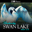 Tchaikovsky Swan Lake Ballet 22-28 cover