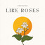 Like Roses - Radio Edit cover