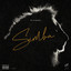 Album cover of SIMBA by kizaru