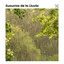 Susurros de la Lluvia cover