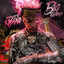 Big Flamingo cover