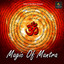 Shiv Tandav Shrotam cover