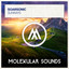Soarsonic - Sunrays (Extended Mix)