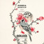 Secreto - Vandelor Remix