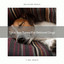 Total Sea Tunes For Beloved Dogs cover