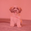Music for Resting Pets (Chill Out) cover