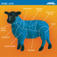 Prime Cuts cover