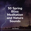 50 Spring Bliss: Meditation and Nature Sounds cover