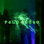 Palo Santo cover