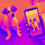 Jazz Piano Duo - Ambiance for Puppy Training Time cover