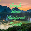 Jungle Bird Rainforest Sounds cover