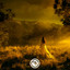 Maktoub cover