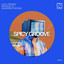 Leo Perez, Dhany G & Andres Perez — Spicy Groove cover art