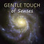 Gentle Touch of Senses – Sleeping Hours, Calming Night Sounds, Calm Music for Sensual Massage and Deep Sleep, Piano Songs, Restful Sleep cover