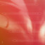 . - DAVE ROCKS PROMO - RedDay Walk 2026-XOS0283 2