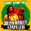 Julian Marley, Papa Levi - Can’t Stop This - Julian Marley