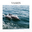 Vaarin cover