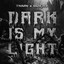 TNMN, Bøęry — Dark Is My Light cover art