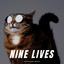 Nine Lives cover