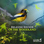 Relaxing Sounds of the Woodland cover