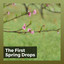 The First Spring Drops cover