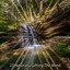 27 Naturally Gifting The Mind cover